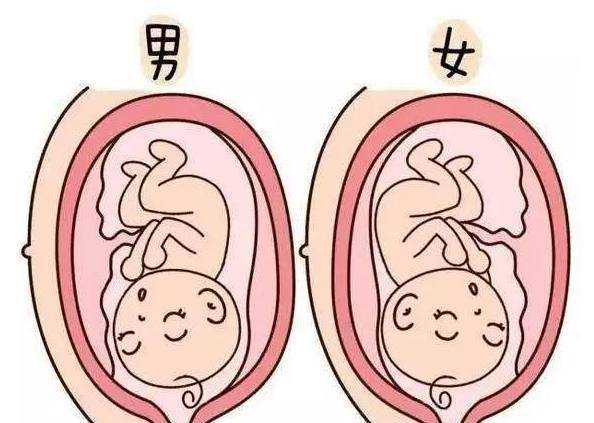 广州代生费用为多少，广州第三代试管婴儿的费用是多少？