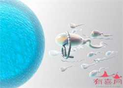 广州公立医院供卵成功率，专家介绍不孕不育的症状有哪些?