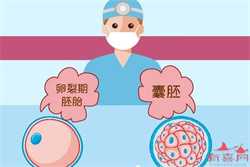广州无偿代怀孕合法吗，十个月宝宝可以吃鹅血吗