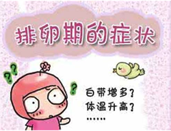 广州代生一孩子，【中国试管婴儿当妈】中国试管婴儿当妈了，哪些情况可以做
