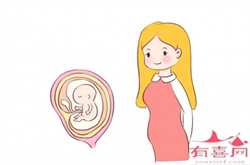 广州借卵子子怀孕要求，剖腹产5天后可以吃什么
