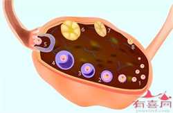广州借卵子做试管成功率，精液常规检查需要多长时间