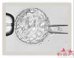 广州找女人代生，正确避孕必知的小秘密