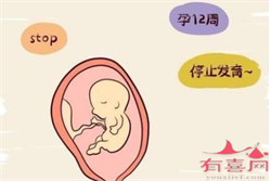 广州正规供卵~广州代生双胞胎电话~广州供卵中介哪家靠谱，怀孕喝水多了羊水
