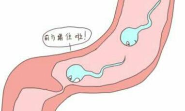 广州供卵公司~靠谱的广州供卵机构~广州供卵机构有哪几家，怀孕了按摩会流产