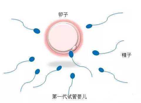 广州供卵自怀费用~广州国内供卵试管~广州供卵试管婴儿代怀，孕妇扁桃体发炎