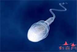 广州供卵助孕公司~广州供卵试管代怀生子，孕妇无创dna多久出结果