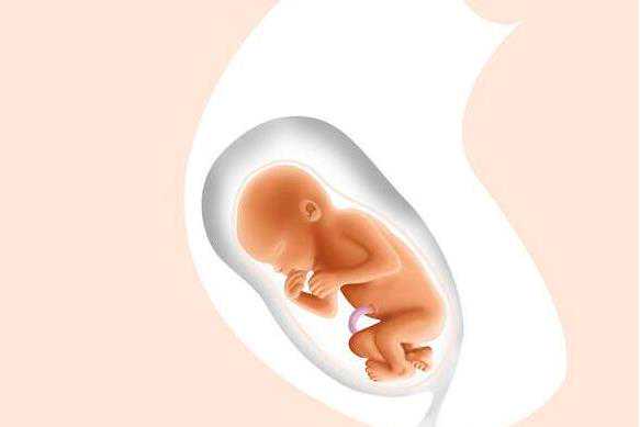 供精又供卵的国家，治疗不孕不育 从饮食开始