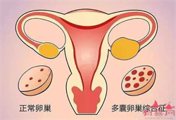 广州供卵生子机构~广州供卵三代试管~广州供卵试管婴儿中心，备孕时掌握好这