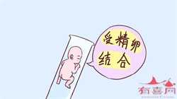 广州供卵要多少钱~广州地下供卵试管电话，【怀孕了能不能同房吗】怀孕第三