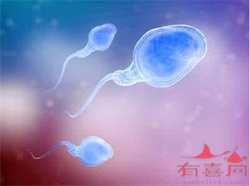 广州供精生宝宝后幸福吗,二代试管宝宝畸形率高吗_广州做个精子检测多少钱