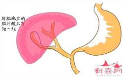广州借腹生子最少要多少钱,广州精子常规检查要多少钱