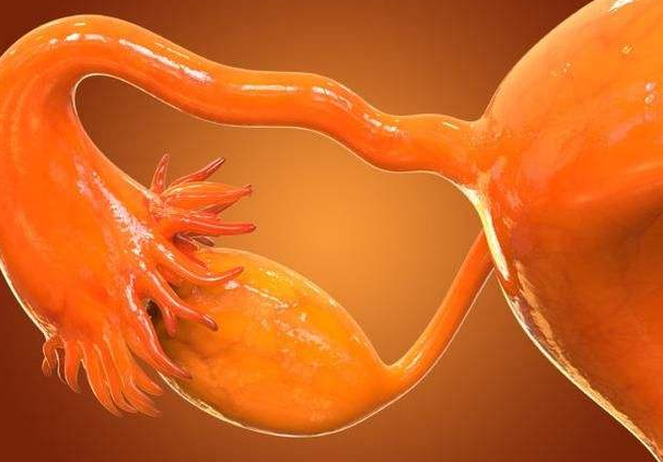 享生课堂：卵巢储备功能不足意味着什么？