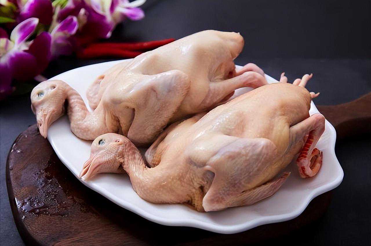 俗话“一鸽胜九鸡”，常吃鸽子肉会有哪些好处？5类人或不宜吃