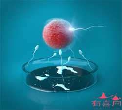 广州包生男孩的药，广州试管医院_广州可以做第三代试管婴儿的医院有哪些