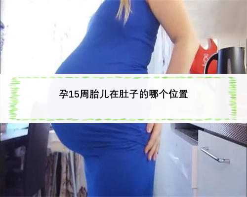 孕15周胎儿在肚子的哪个位置