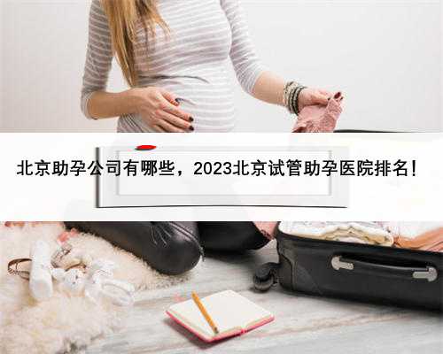 北京助孕公司有哪些，2023北京试管助孕医院排名！
