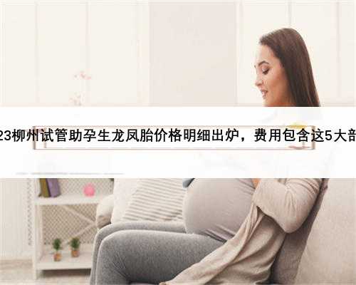 2023柳州试管助孕生龙凤胎价格明细出炉，费用包含这5大部分